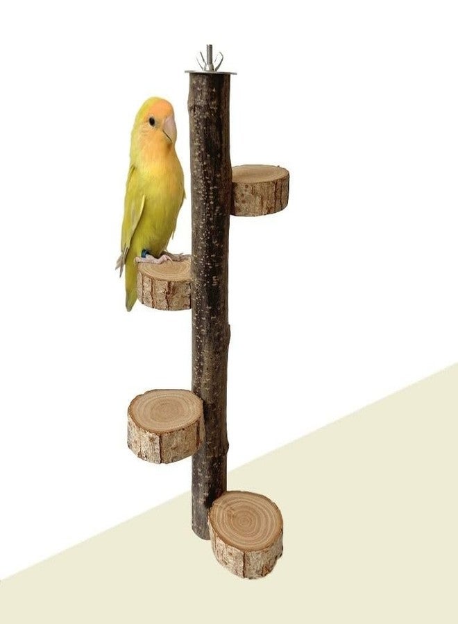 SS Organic® Natural Wood Bird Perch Stand, Hanging Multi Round Branch Perch for Cage, Parrots, Parakeets Cockatiels, Conures, Macaws, Love Birds, Finches Bird Toys - Image 4